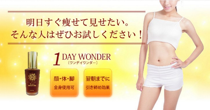 1DAY WONDER�i�����f�C�����_�[�j�ɂ���