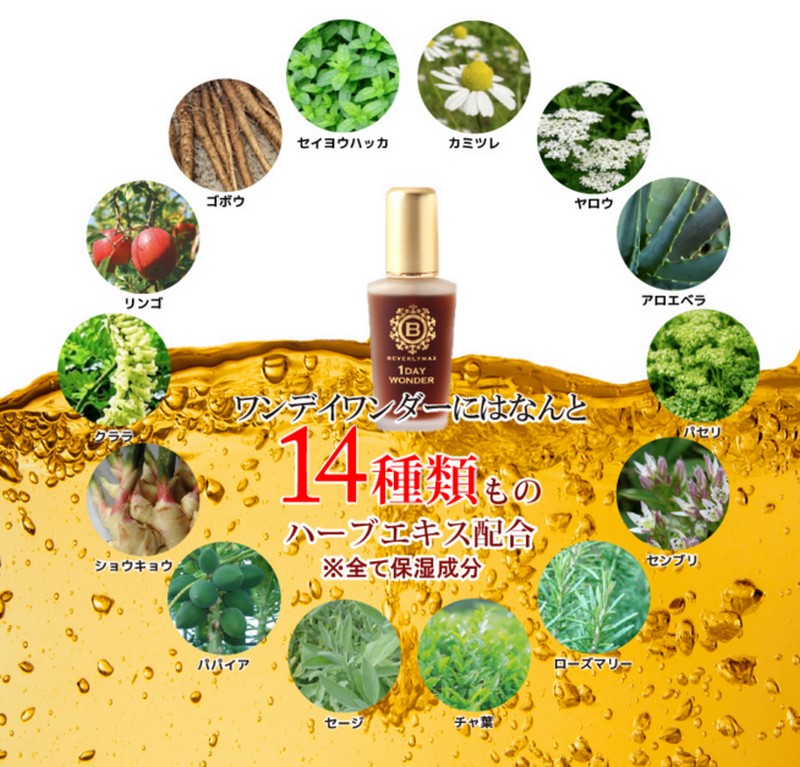 1DAY WONDER�i�����f�C�����_�[�j���T�C�g